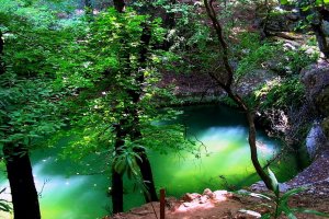 Долина Бабочек на Родосе